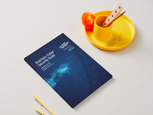 Business Cyber Security Audit
